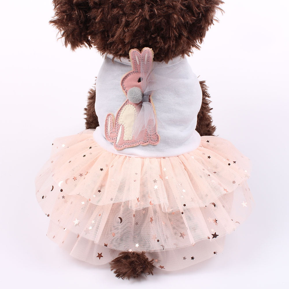 Rabbit Stars Design Cat  Dress