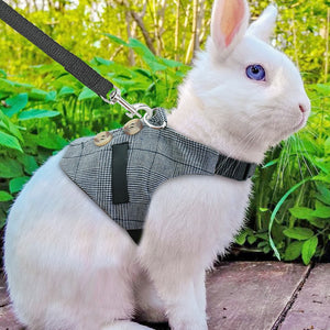 Hamster- Rabbit Cute Harness