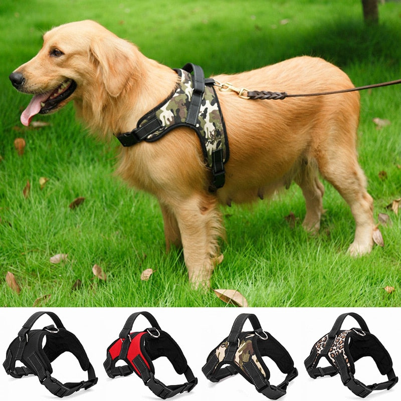 Nylon Heavy Duty Dog Harness - Collar Adjustable